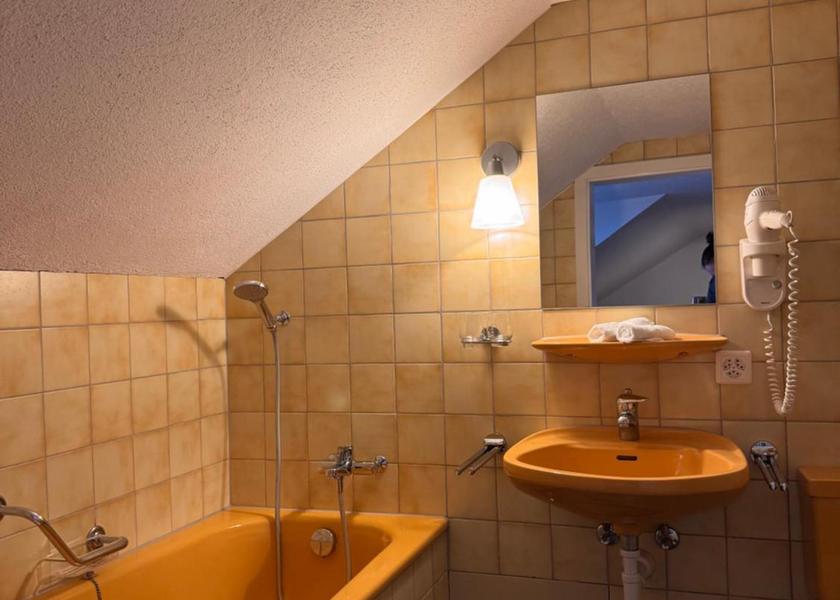 Canton of Thurgau Kesswil Double Room with Lake View