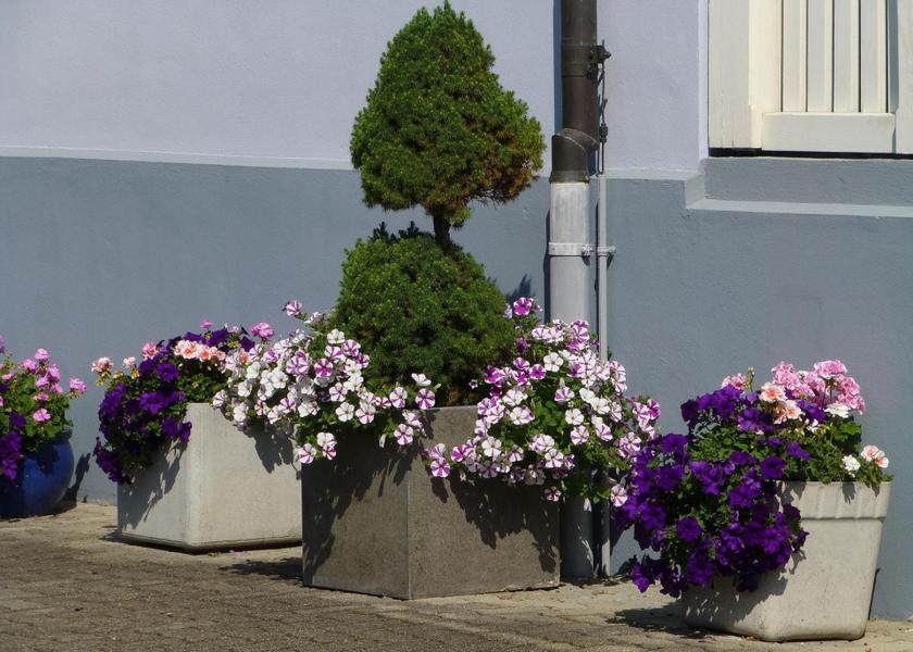 Canton of Schwyz Schwyz 