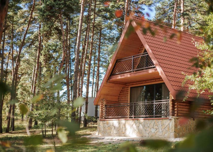 Kakheti Telavi Hotel Exterior