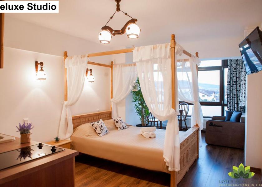 Sibiu Sibiu Deluxe Studio