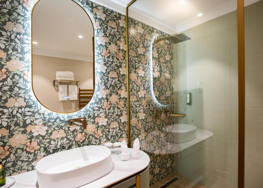  Sinaia Deluxe One-Bedroom Apartment with Spa Access