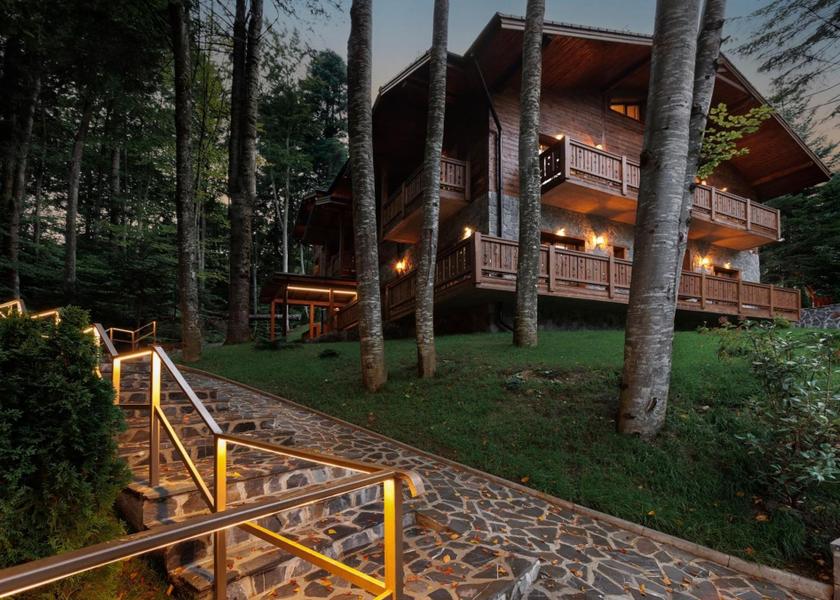 surrounding environment