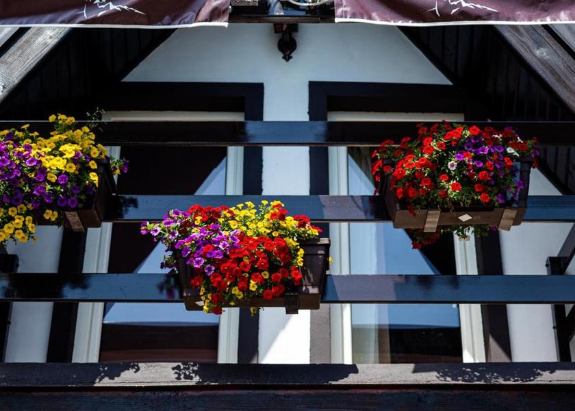 Dambovita County Moroeni 