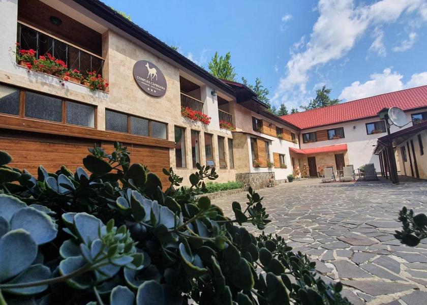 Maramureş Baia Mare 