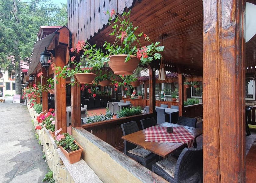 Maramureş Baia Mare 