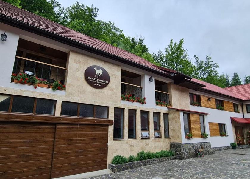 Maramureş Baia Mare 