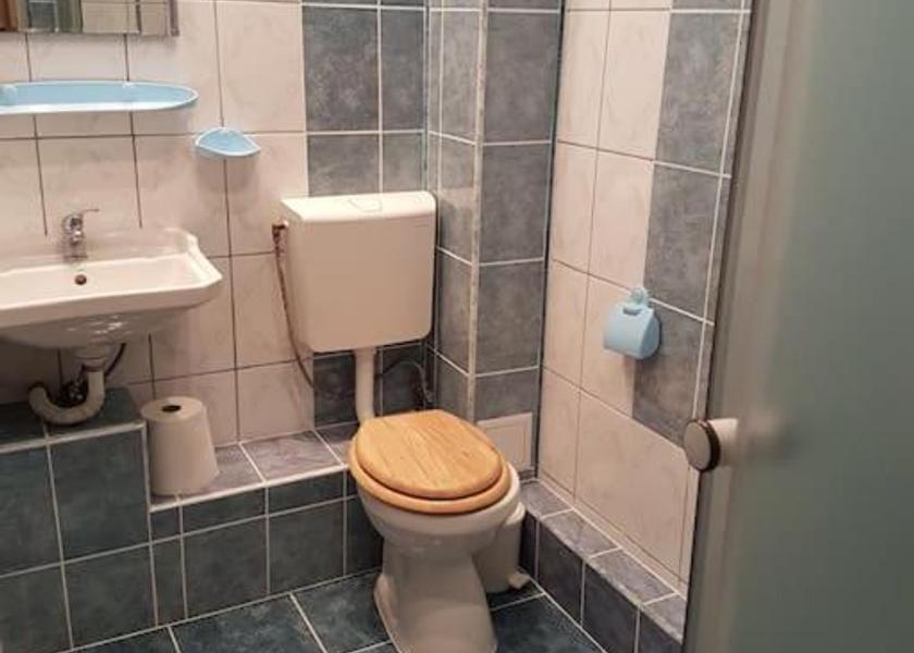 Maramureş Recea Double Room with Private Bathroom