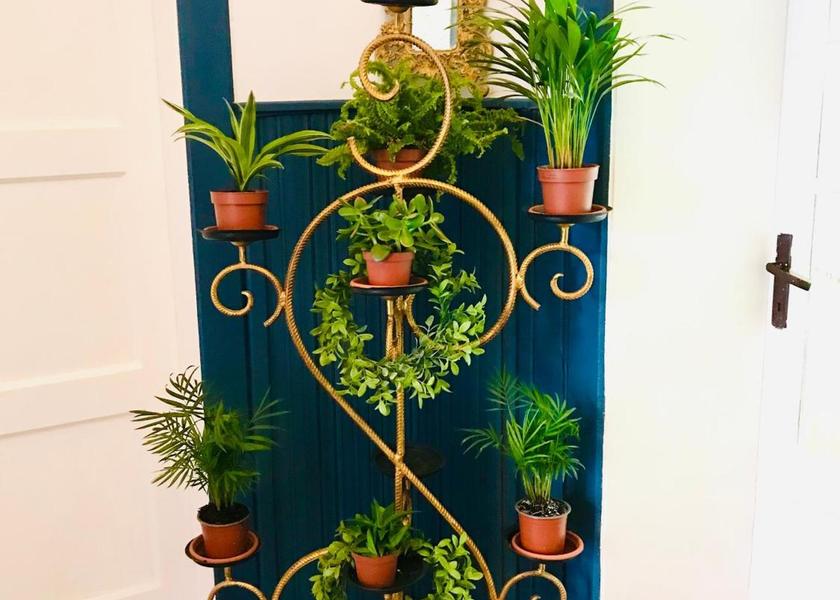 Mureș County Sighisoara facilities