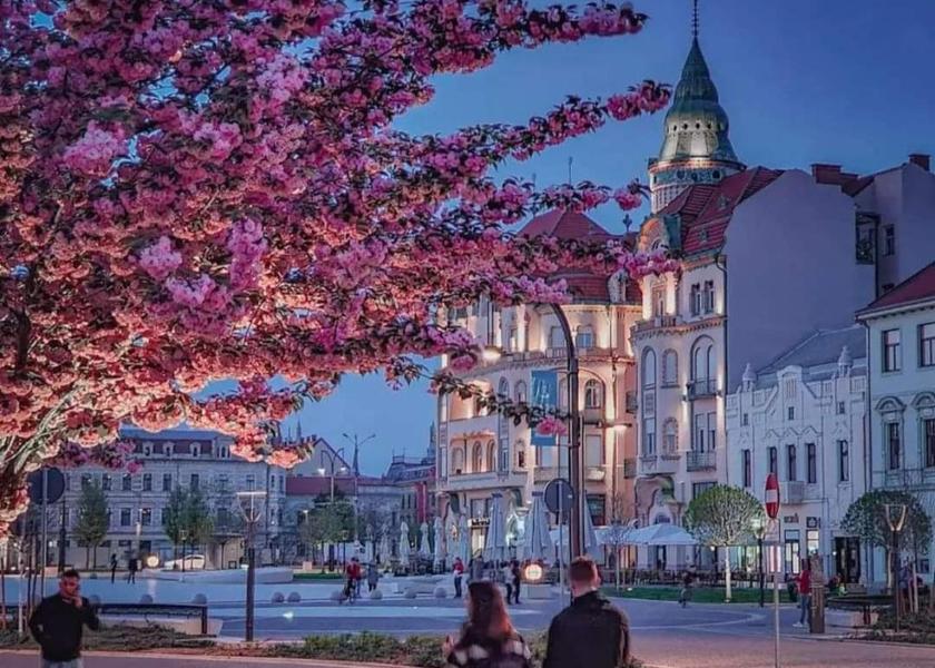 Bihor County Oradea 