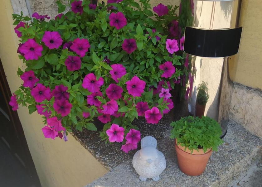 Prešov Region Poprad 