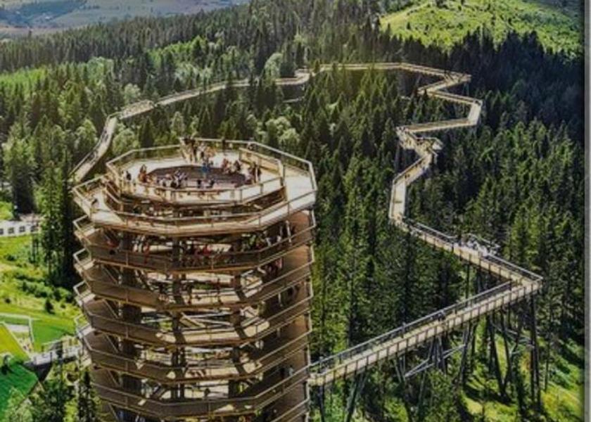 surrounding environment