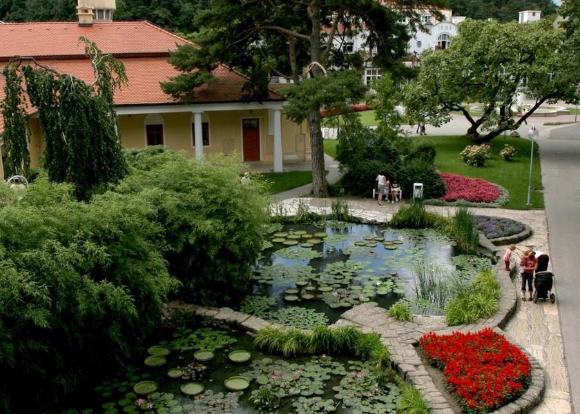 surrounding environment