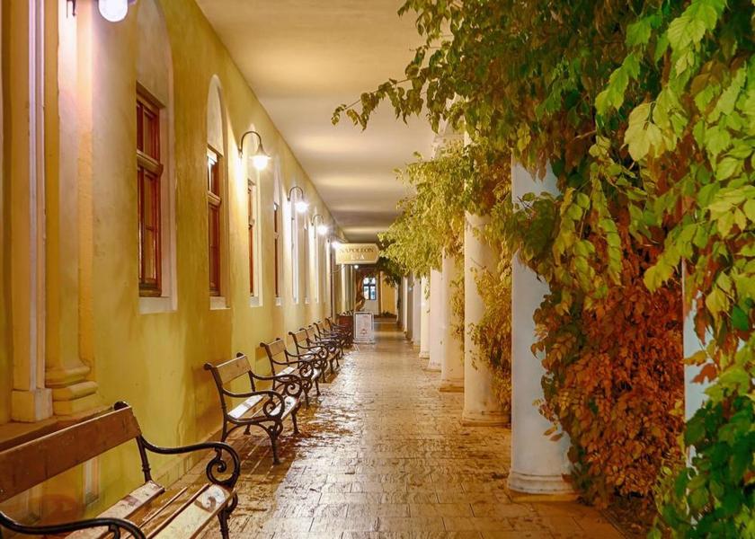 surrounding environment