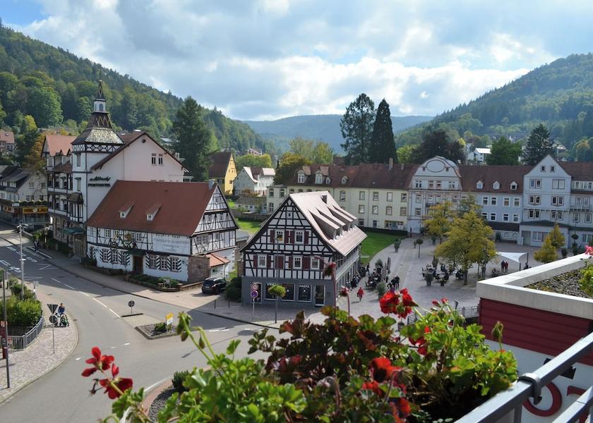 Baden-Württemberg Bad Herrenalb Room