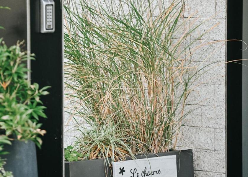 Walloon Region Dinant 