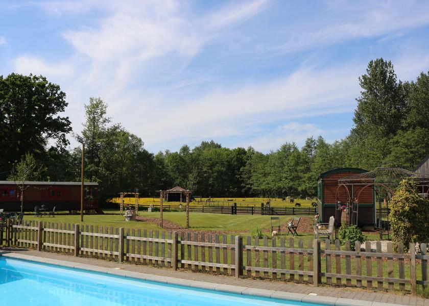 Flemish Region Hasselt 