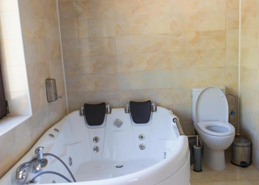  Botosani Deluxe Studio