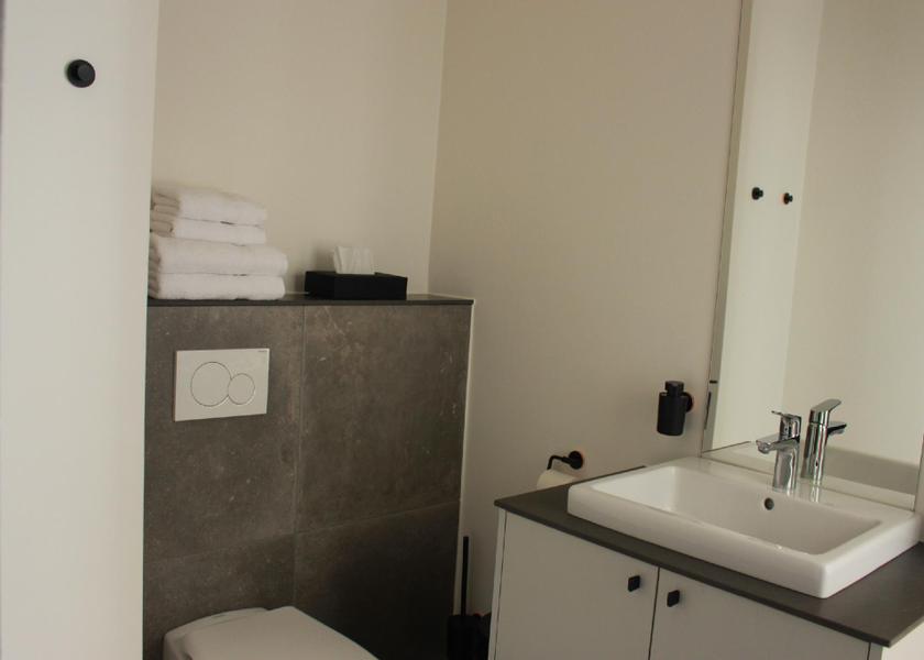 Flemish Region Antwerp Suite