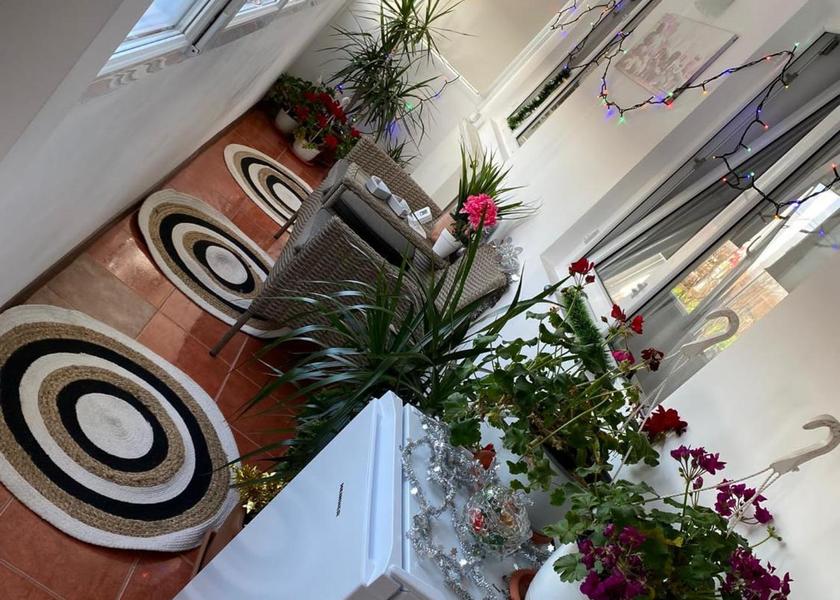 Brăila County Braila 