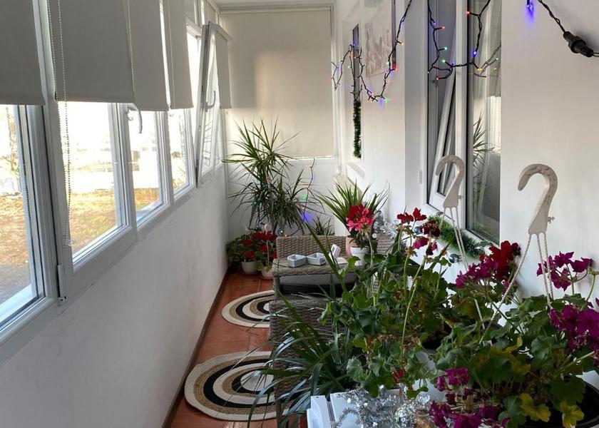 Brăila County Braila 