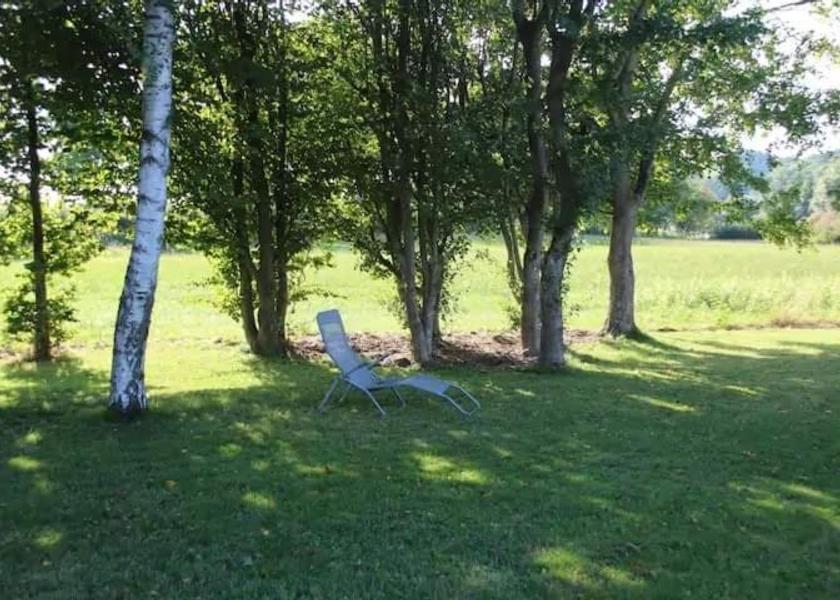 surrounding environment