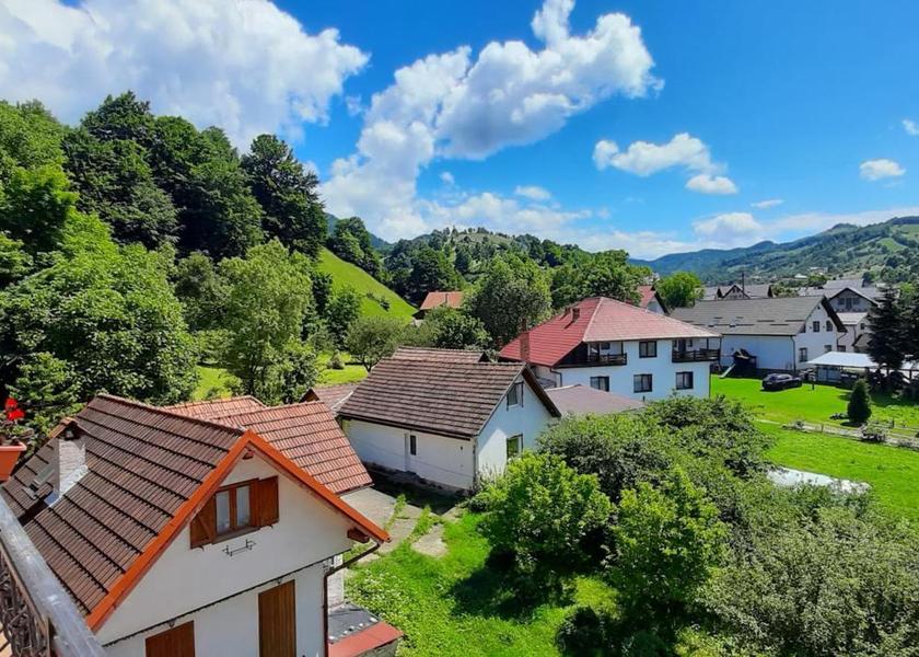  Bran surrounding environment