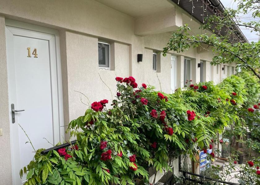  Drobeta-Turnu Severin 