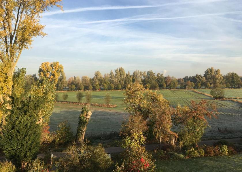 North Rhine-Westphalia Dusseldorf garden