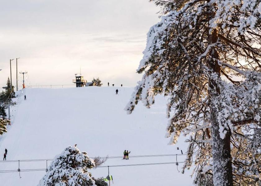 Varmland County Torsby 