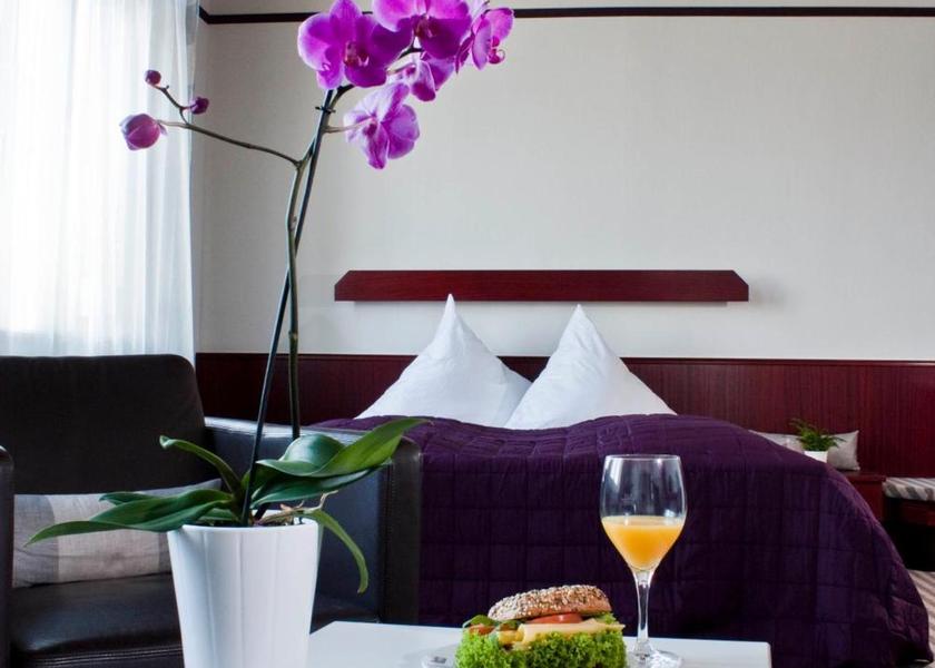 Baden-Württemberg Baden-Baden guestroom