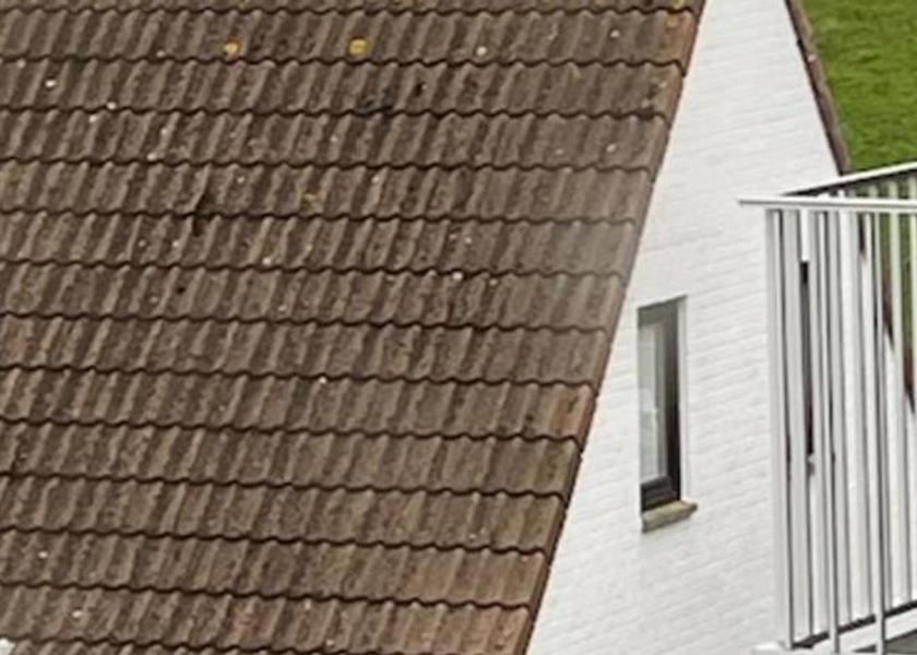 Flemish Region Middelkerke 