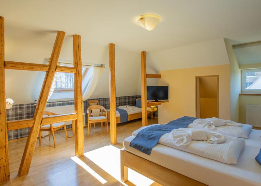 Thuringia Masserberg Triple Room