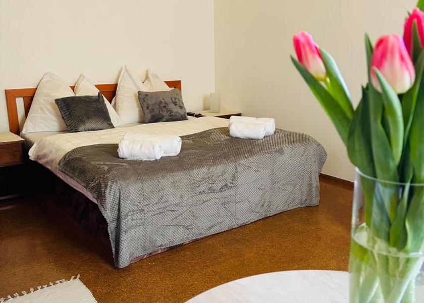 Zlin Region Luhačovice Double Room with Private Bathroom