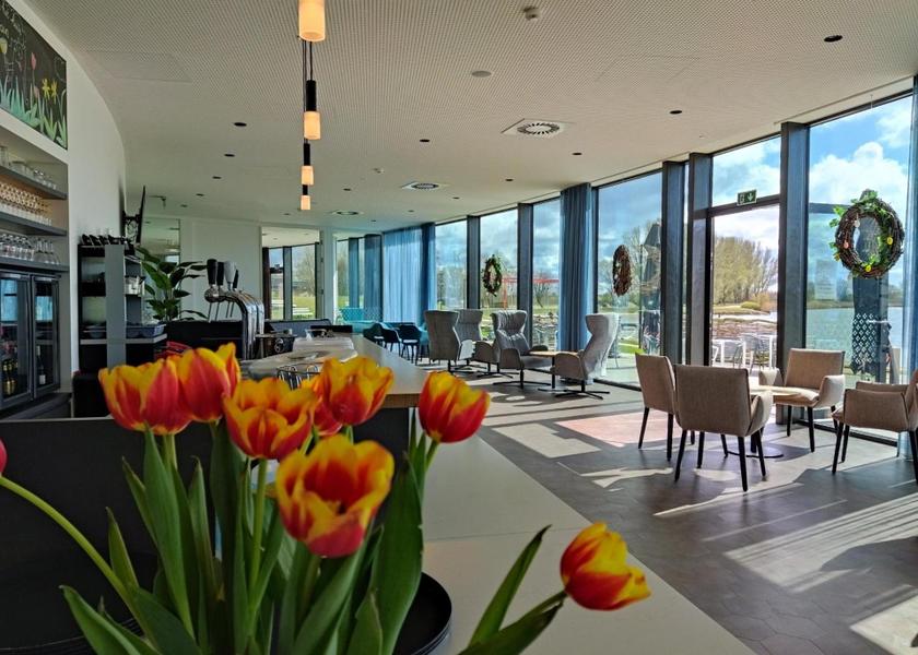 Flemish Region Zuienkerke bar/lounge