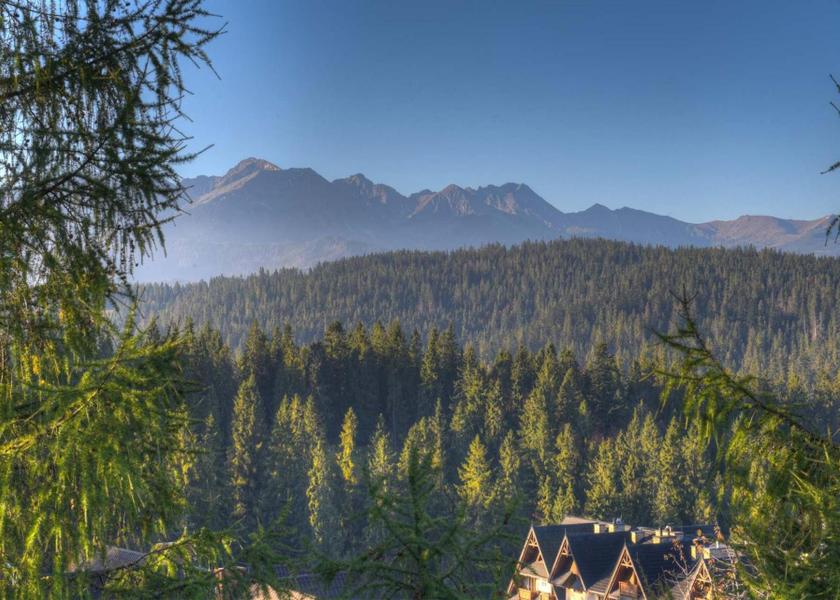 Lesser Poland Voivodeship Bukowina Tatrzanska view