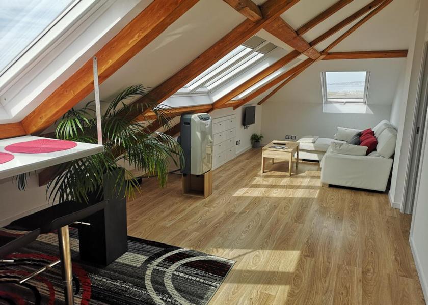Galicia Arteixo Penthouse Apartment