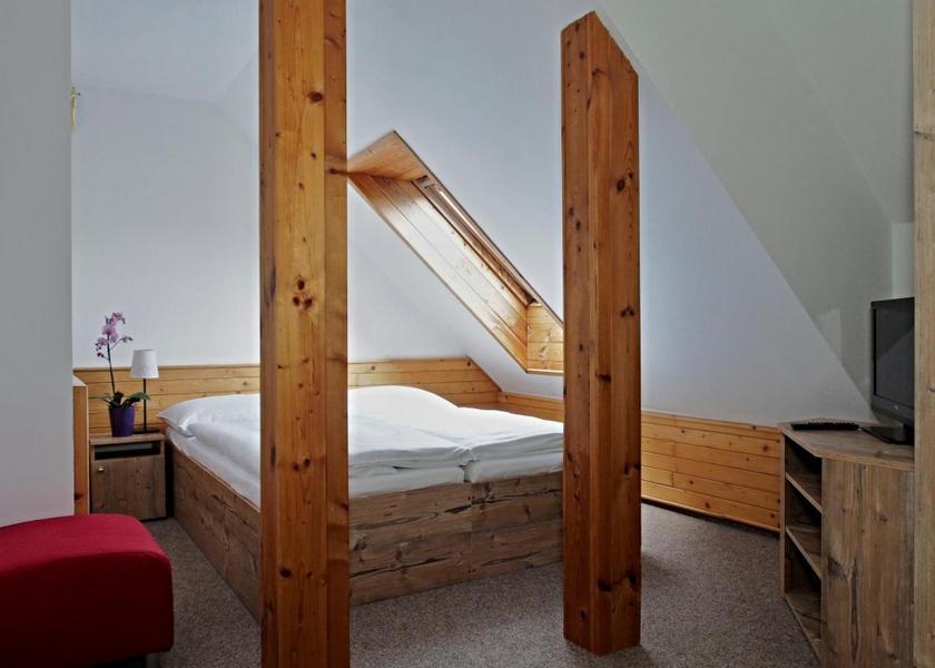 Hradec Kralove (region) Cerny Dul Double Room with Private Bathroom