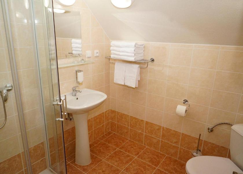 Hradec Kralove (region) Cerny Dul Double Room with Private Bathroom