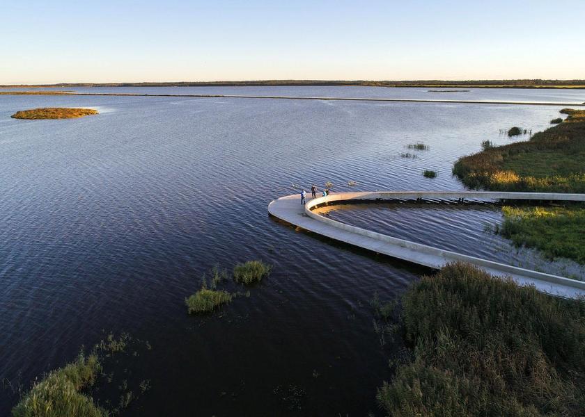 surrounding environment