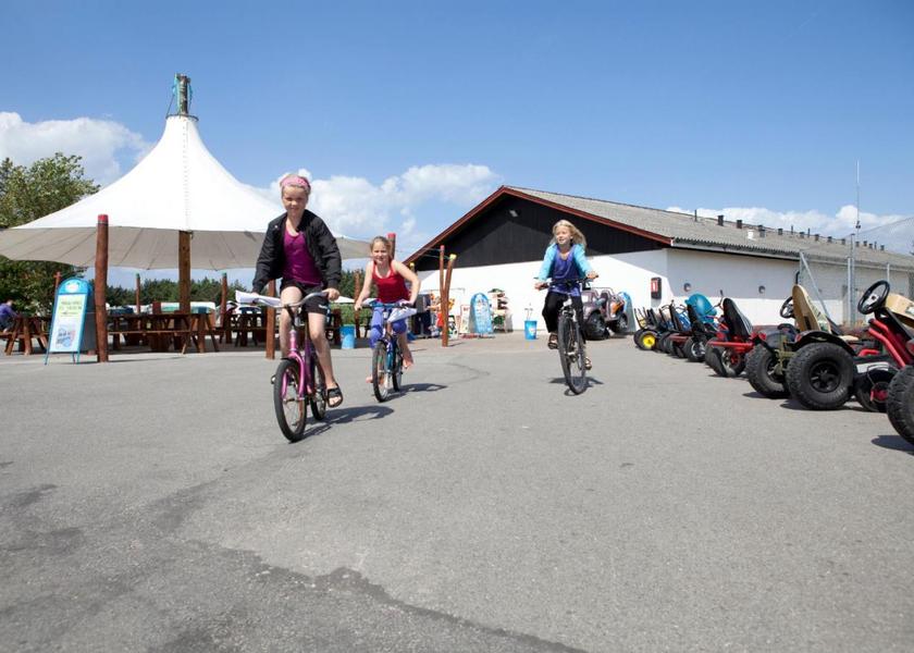 sports and activities