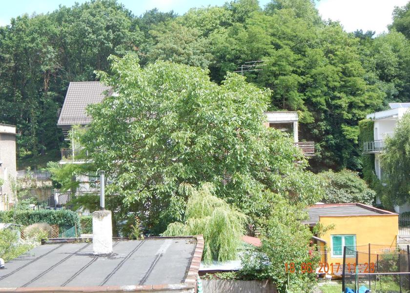 surrounding environment