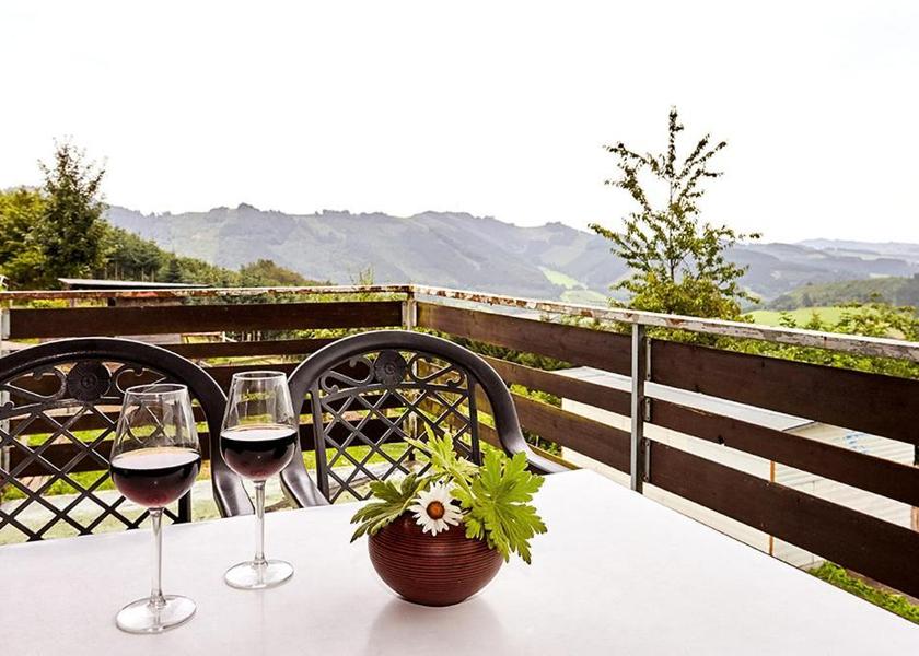 North Rhine-Westphalia Meschede Apartment with Mountain View