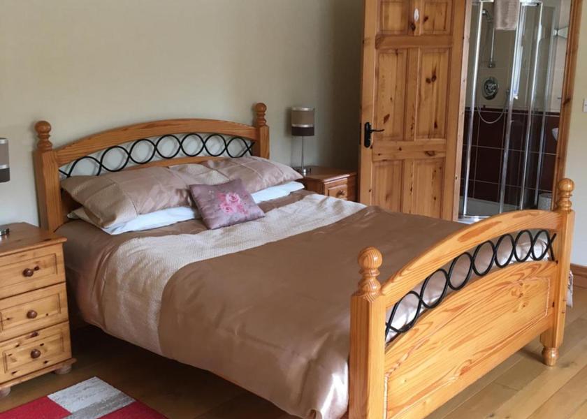 Kerry (county) Tralee Deluxe Double Room with Shower
