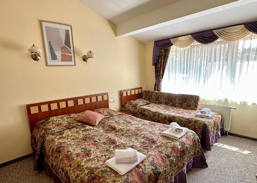  Lviv Superior Double or Twin