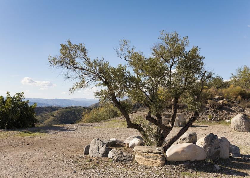 Andalusia Còmpeta Hiking