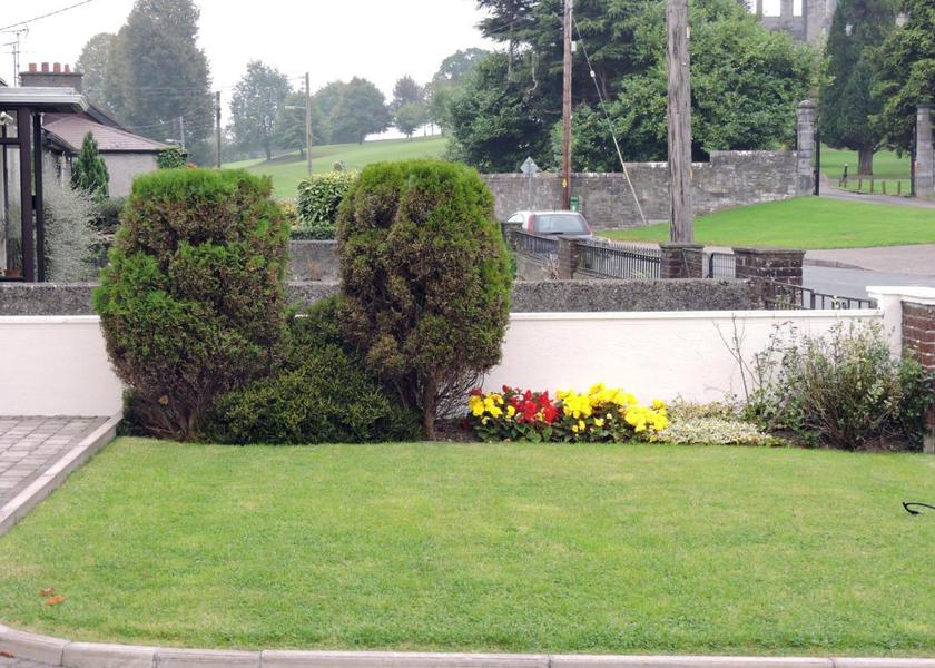 surrounding environment