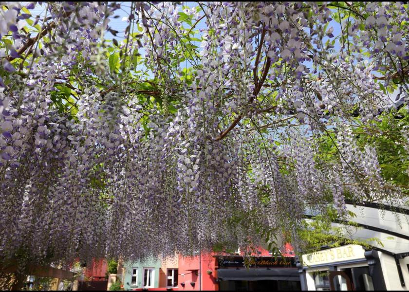 Cork (county) Glengarriff 