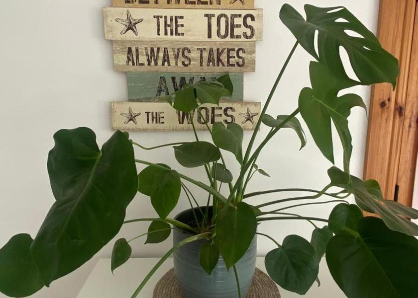 Cork (county) Youghal 