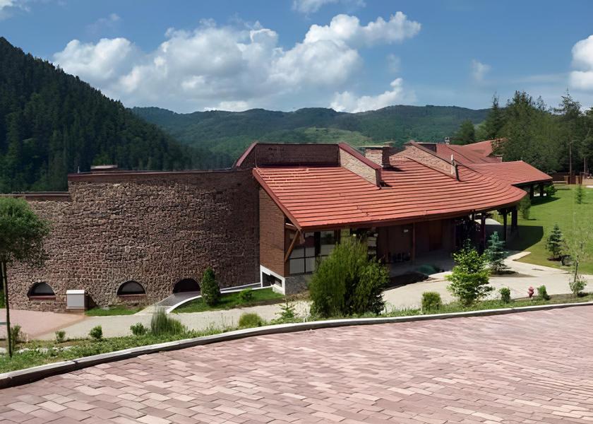 surrounding environment