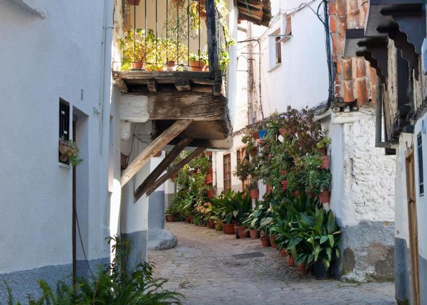 surrounding environment